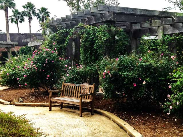 Beaumont Botanical Gardens 
